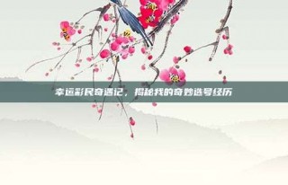 幸运彩民奇遇记，揭秘我的奇妙选号经历