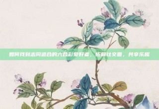 如何找到志同道合的六合彩爱好者，拓展社交圈，共享乐趣