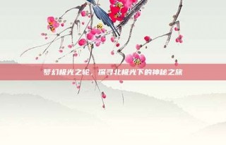 梦幻极光之轮，探寻北极光下的神秘之旅