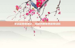 幸运彩民奇遇记，揭秘我的奇妙选号经历