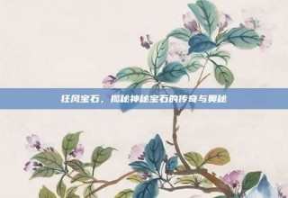 狂风宝石，揭秘神秘宝石的传奇与奥秘