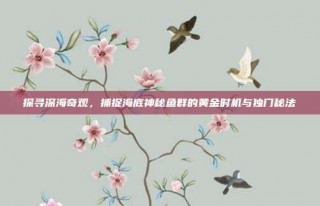 探寻深海奇观，捕捉海底神秘鱼群的黄金时机与独门秘法