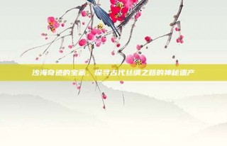 沙海奇迹的宝藏，探寻古代丝绸之路的神秘遗产