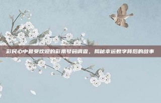 彩民心中最受欢迎的彩票号码调查，揭秘幸运数字背后的故事