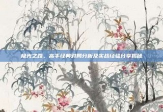 极光之路，高手经典对局分析及实战经验分享揭秘