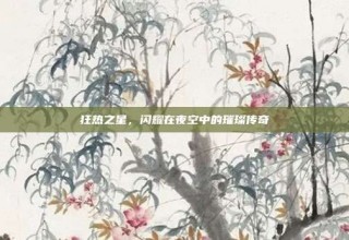 狂热之星，闪耀在夜空中的璀璨传奇