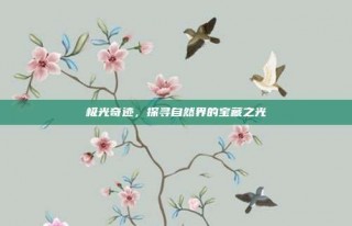 极光奇迹，探寻自然界的宝藏之光