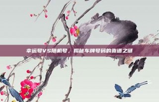 幸运号VS随机号，揭秘车牌号码的靠谱之谜