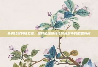 扑克比赛制胜之道，如何适应多样化风格对手的策略解析