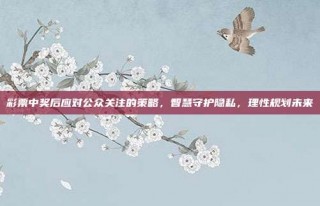 彩票中奖后应对公众关注的策略，智慧守护隐私，理性规划未来