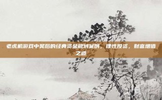 老虎机游戏中奖后的经典资金规划案例，理性投资，财富增值之道