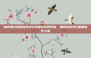 如何通过合理选择支付线提升游戏收益，揭秘游戏支付策略优化之道