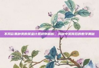 不同彩票种类的奖金计算规则解析，揭秘中奖背后的数学奥秘