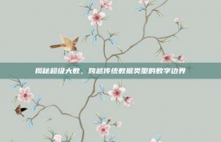 揭秘超级大数，跨越传统数据类型的数字边界