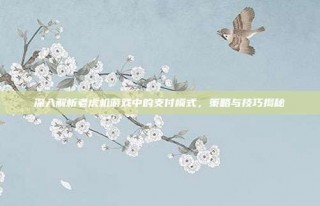 深入解析老虎机游戏中的支付模式，策略与技巧揭秘