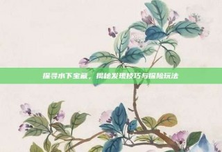 探寻水下宝藏，揭秘发现技巧与探险玩法