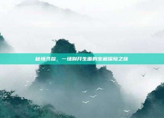 秘境寻踪，一场别开生面的宝藏探险之旅