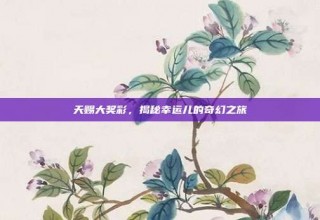 天赐大奖彩，揭秘幸运儿的奇幻之旅