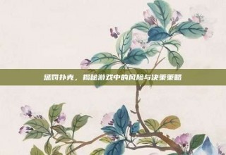 惩罚扑克，揭秘游戏中的风险与决策策略