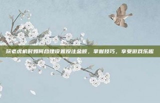 玩老虎机时如何合理设置投注金额，掌握技巧，享受游戏乐趣