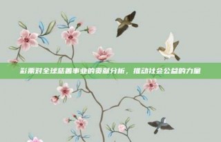 彩票对全球慈善事业的贡献分析，推动社会公益的力量