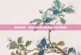 热点乐透，揭秘彩票背后的趣味与经济现象