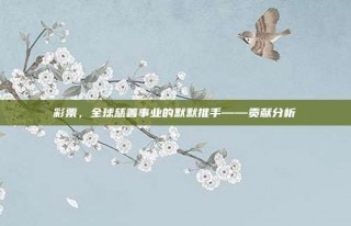 彩票，全球慈善事业的默默推手——贡献分析