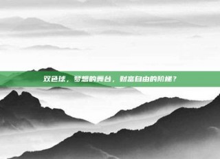 双色球，梦想的舞台，财富自由的阶梯？