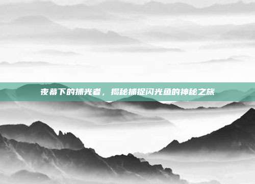 夜幕下的捕光者，揭秘捕捉闪光鱼的神秘之旅  第1张