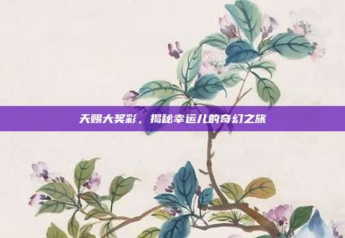 天赐大奖彩，揭秘幸运儿的奇幻之旅  第1张