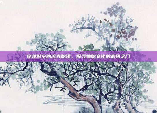 穿越时空的流光秘钥，探寻神秘文化的密码之门  第1张