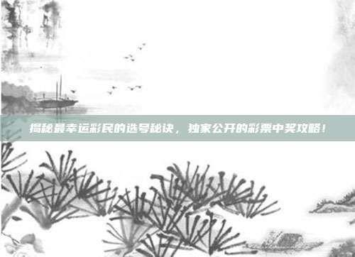 揭秘最幸运彩民的选号秘诀，独家公开的彩票中奖攻略！  第1张