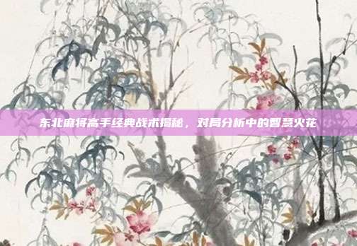 东北麻将高手经典战术揭秘，对局分析中的智慧火花  第1张