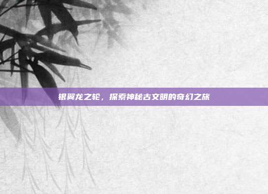 银翼龙之轮，探索神秘古文明的奇幻之旅  第1张