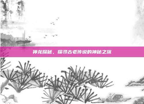 神龙探秘，探寻古老传说的神秘之旅  第1张